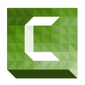 Camtasia Studio